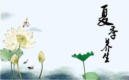 &#31859;&#20848;&#32593;&#39029;&#29256;&#45;&#31859;&#20848;&#40;&#20013;&#22269;&#41;