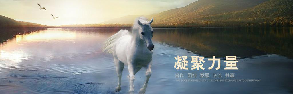 &#31859;&#20848;&#32593;&#39029;&#29256;&#45;&#31859;&#20848;&#40;&#20013;&#22269;&#41;