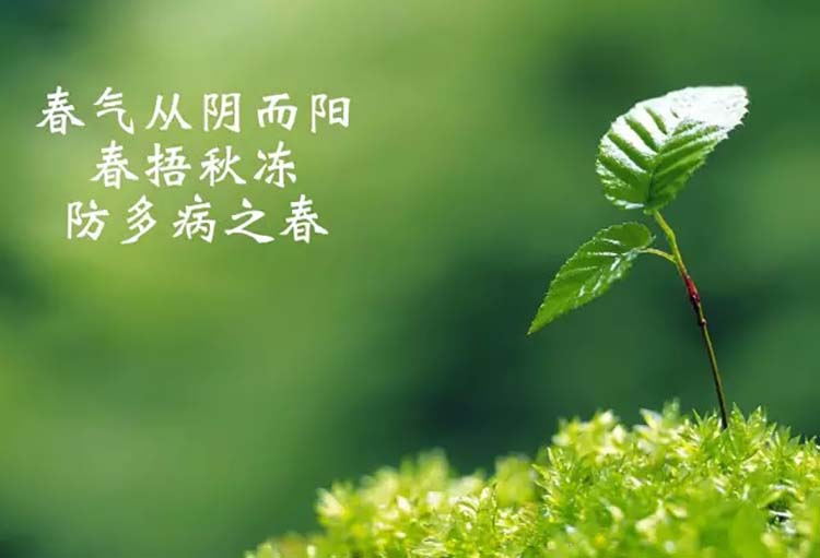 &#31859;&#20848;&#32593;&#39029;&#29256;&#45;&#31859;&#20848;&#40;&#20013;&#22269;&#41;